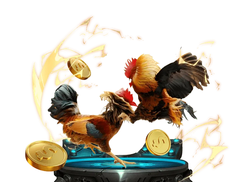 Hệ thống tường lửa và chống gian lận